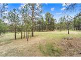 8395 Pine Cone Rd - Photo 12