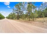 8395 Pine Cone Rd - Photo 14