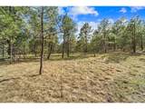 8395 Pine Cone Rd - Photo 3