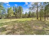 8395 Pine Cone Rd - Photo 4