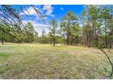 8395 Pine Cone Rd - Photo 5