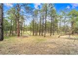 8395 Pine Cone Rd - Photo 6
