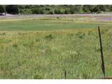 472 Rio Grande Club Trl - Photo 3