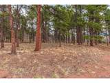 1290 Firestone Dr - Photo 1