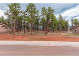 1290 Firestone Dr - Photo 11