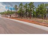 1290 Firestone Dr - Photo 13