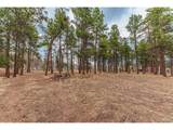 1290 Firestone Dr - Photo 14