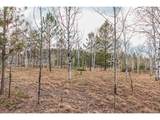 1290 Firestone Dr - Photo 7