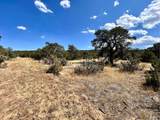  Lot 919 Los Vaqueros Cir - Photo 1