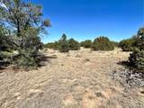  Lot 919 Los Vaqueros Cir - Photo 10