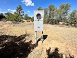  Lot 919 Los Vaqueros Cir - Photo 2