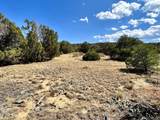  Lot 919 Los Vaqueros Cir - Photo 9