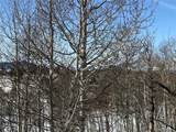 1 Bonus Gulch Way - Photo 16