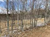 1 Bonus Gulch Way - Photo 5
