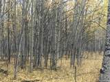 1 Bonus Gulch Way - Photo 7