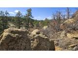 337 Rancho La Garita - Photo 9