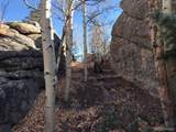 4019 Buffalo Ridge Rd - Photo 2