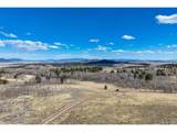 4019 Buffalo Ridge Rd - Photo 46