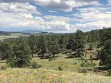  Ouray Rd - Photo 2