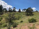  Ouray Rd - Photo 6