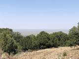 209 Blanca Pl - Photo 3