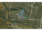 209 Blanca Pl - Photo 4