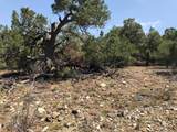 209 Blanca Pl - Photo 5