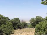 209 Blanca Pl - Photo 8