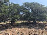209 Blanca Pl - Photo 9