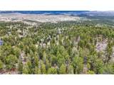 30176 Mountaintop Dr - Photo 13
