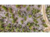 30176 Mountaintop Dr - Photo 19