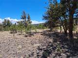 1038 Costella Dr - Photo 4