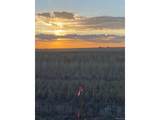  Converse Rd - Photo 1