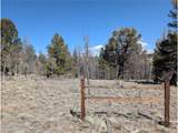 1164 Frees Loop - Photo 7