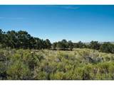 4438 Rarity Ct - Photo 11