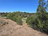 90 River Ridge Ranch - Photo 10