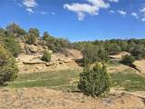 90 River Ridge Ranch - Photo 16