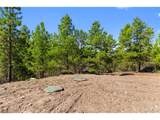 2057 Horse Thief Gulch Rd - Photo 32