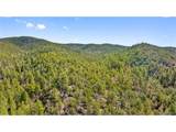 2057 Horse Thief Gulch Rd - Photo 33