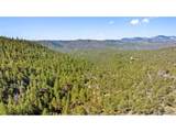 2057 Horse Thief Gulch Rd - Photo 35
