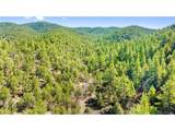 2057 Horse Thief Gulch Rd - Photo 37
