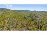 2057 Horse Thief Gulch Rd - Photo 38