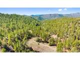 2057 Horse Thief Gulch Rd - Photo 39
