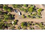 2057 Horse Thief Gulch Rd - Photo 40