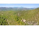 2057 Horse Thief Gulch Rd - Photo 43