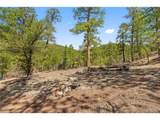 2057 Horse Thief Gulch Rd - Photo 5