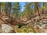 2057 Horse Thief Gulch Rd - Photo 7