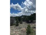 47 White Cloud Dr - Photo 10