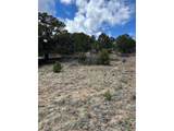 47 White Cloud Dr - Photo 12