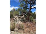 47 White Cloud Dr - Photo 15